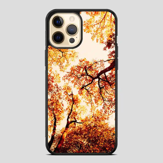 Three Beatufull iPhone 11 Pro Case