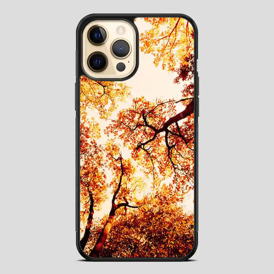 Three Beatufull iPhone 12 Pro Case